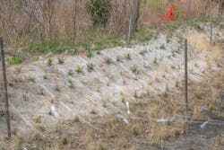 Crews cleared fill, debris, invasive species and other ecological impairments to create nearly 30,000 square feet of restored wetlands in two wetland zones. Crews cleared fill, debris, invasive species and other ecological impairments to create nearly 30,000 square feet of restored wetlands in two wetland zones.