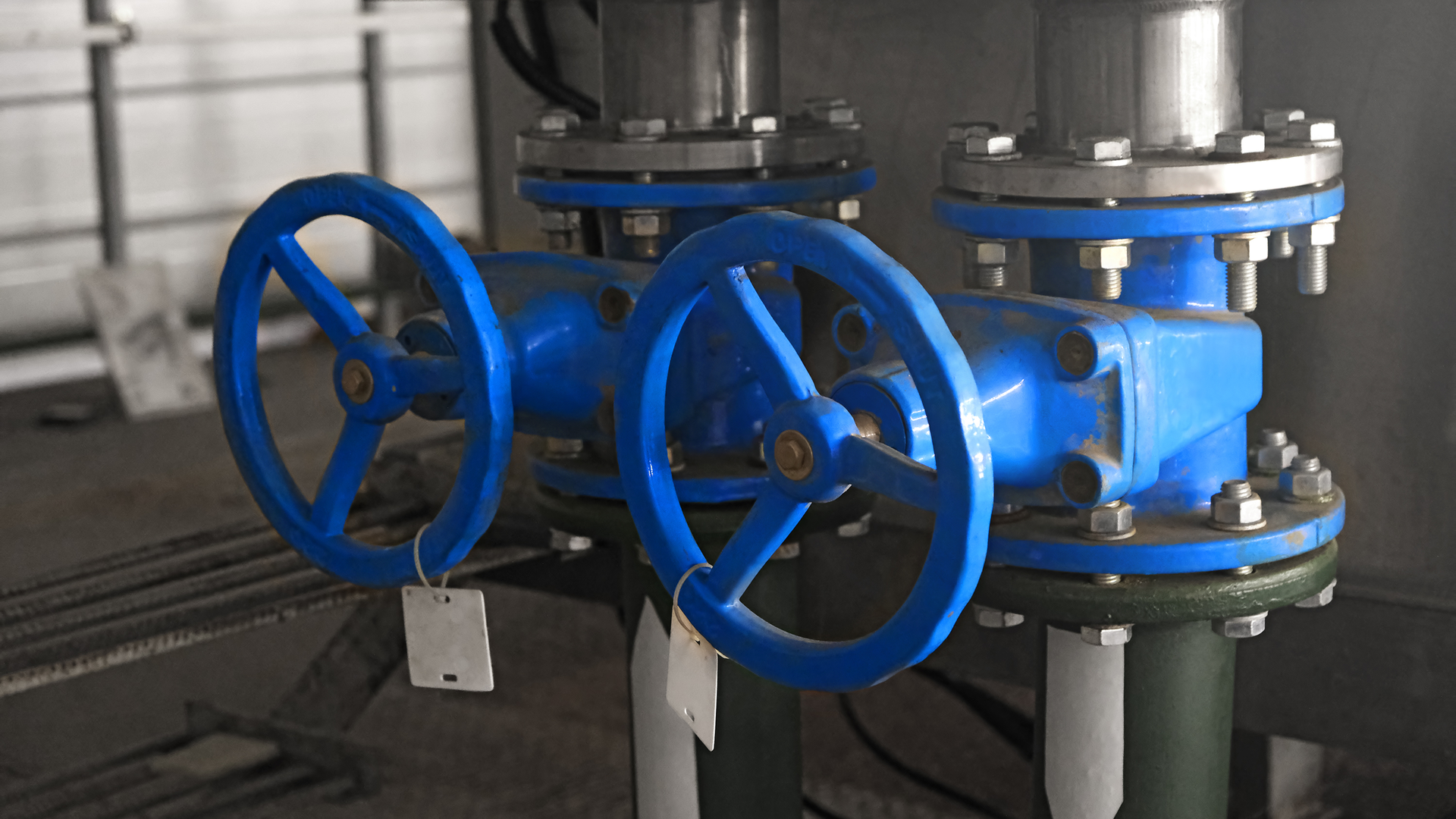 While the industry faces major problems today, it also has many great opportunities.