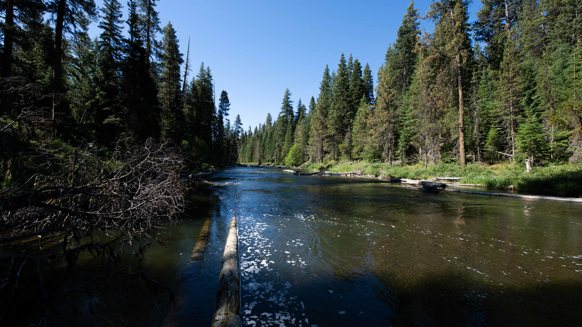 B112 800 131 628523b6a538b