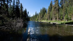 B112 800 131 628523b6a538b B112 800 131 628523b6a538b