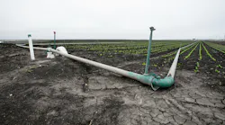 Row crops with groundwater irrigation in Castroville, Calif.