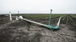 Row crops with groundwater irrigation in Castroville, Calif.