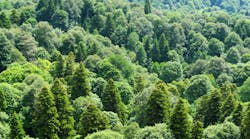 Dreamstime Xxl 124008287 Dreamstime Xxl 124008287