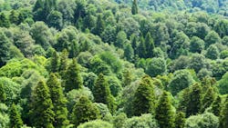 Dreamstime Xxl 124008287 627e65eebf85c Dreamstime Xxl 124008287 627e65eebf85c