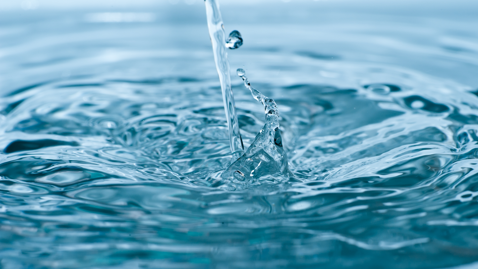 Dreamstime Xxl 25959042 62824e25c9117