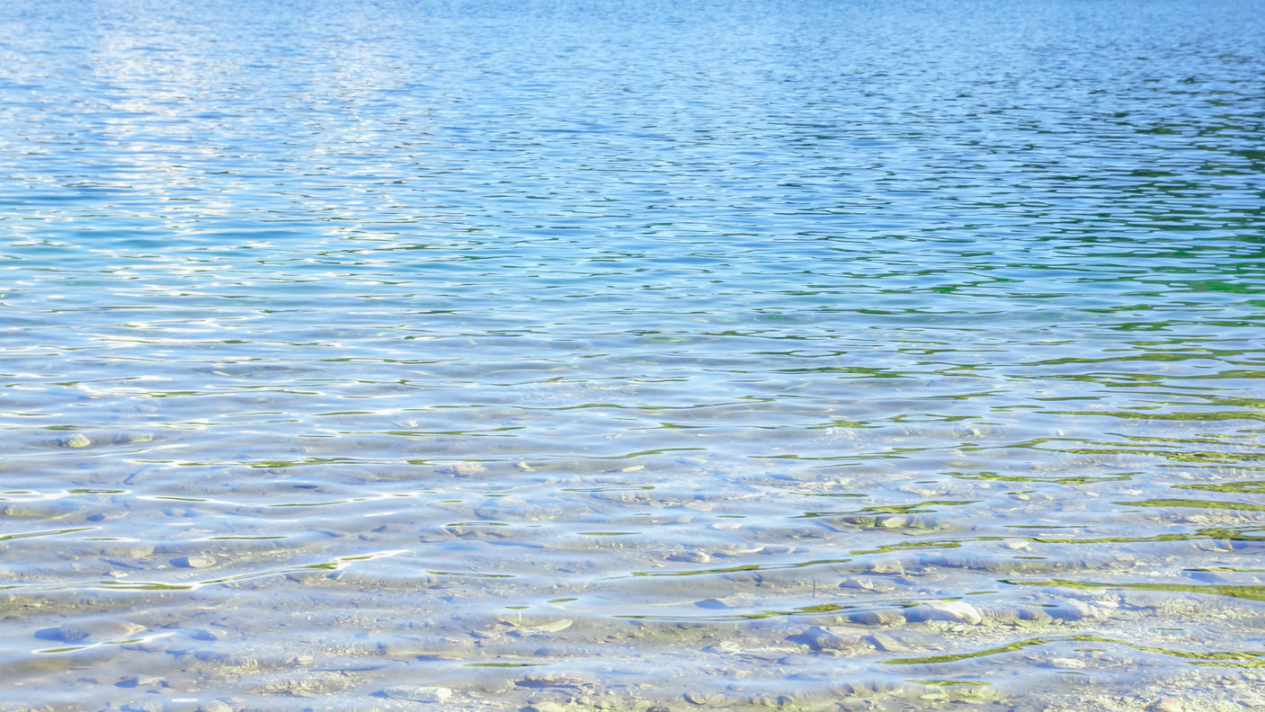 Dreamstime Xxl 92682690 628ce940530f2 628f9b210b6e9