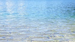 Dreamstime Xxl 92682690 628ce940530f2 628f9b210b6e9 Dreamstime Xxl 92682690 628ce940530f2 628f9b210b6e9