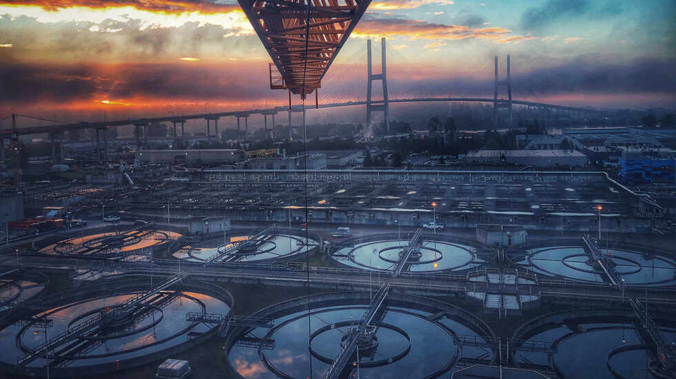 Img 0255 Web E1655112908505 980x551 62bda2d00f2c7