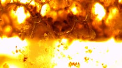 Microscope image of the polyurethane foam, taken right after the formation of bacterial biofilm; the upper, darker half of this snapshot is oxygen-rich, while the brighter bottom lacks oxygen. Microscope image of the polyurethane foam, taken right after the formation of bacterial biofilm; the upper, darker half of this snapshot is oxygen-rich, while the brighter bottom lacks oxygen.