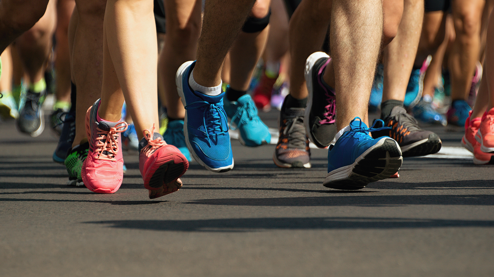 Dreamstime Xxl 104484380 62b351e58a424