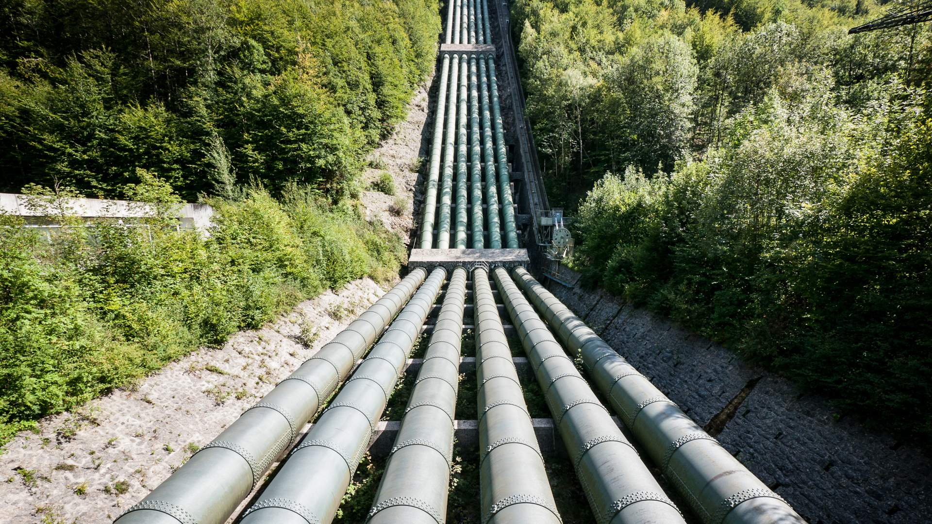 Dreamstime Xxl 28050432 62a349bf1fa24