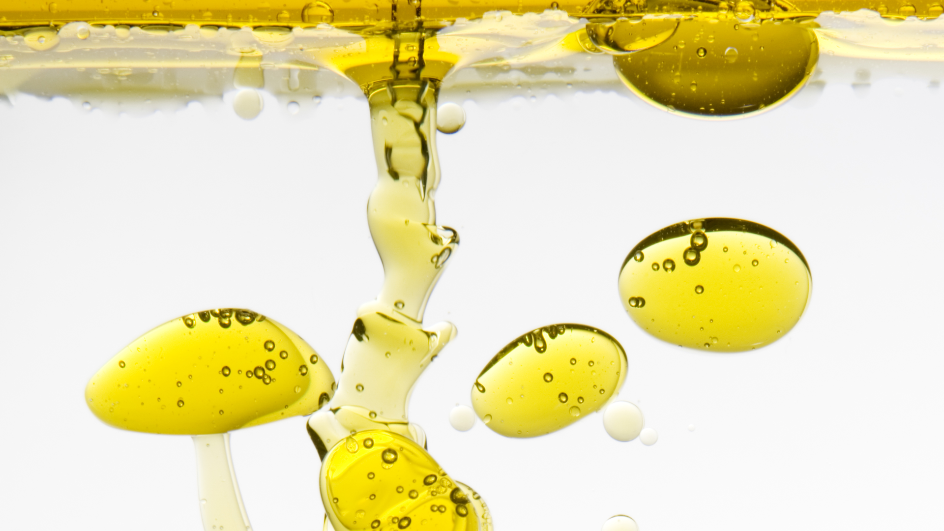 Dreamstime Xxl 4791758 62b5cd36966b1