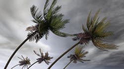 Dreamstime Xxl 7469047 62975b4487255 Dreamstime Xxl 7469047 62975b4487255