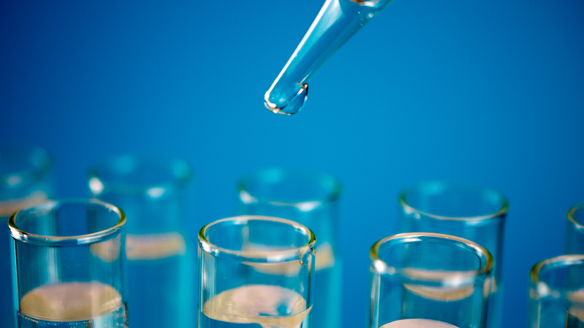 Dreamstime Xxl 147127344 62e3f33150901