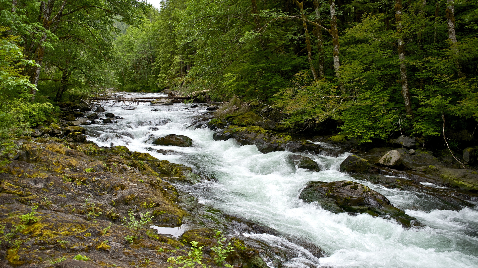 Dreamstime Xxl 28672417 62d815559ca78