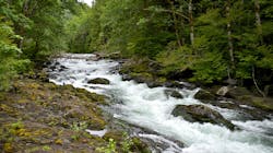 Dreamstime Xxl 28672417 62d815559ca78 Dreamstime Xxl 28672417 62d815559ca78