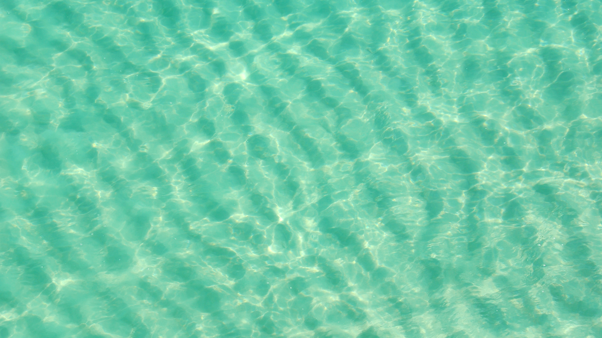 Dreamstime Xxl 4261168 62c58a30a7856