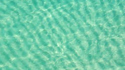 Dreamstime Xxl 4261168 62c58a30a7856 Dreamstime Xxl 4261168 62c58a30a7856