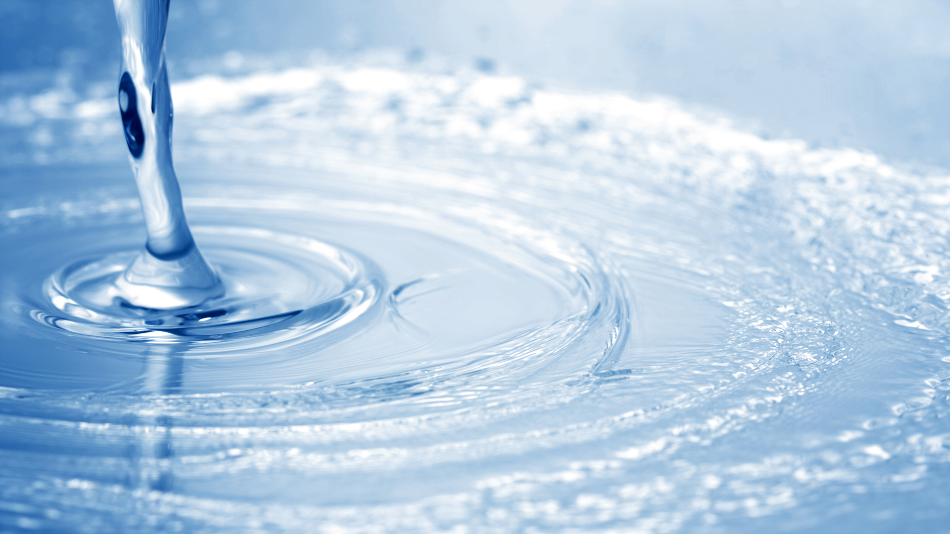 Dreamstime Xxl 4538341 62cc36fb99396