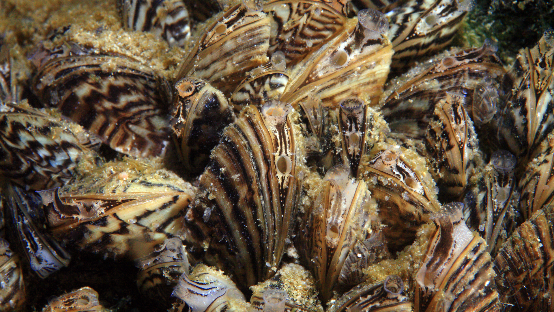 Dreamstime Xxl 47692432 62c433a3e20f6