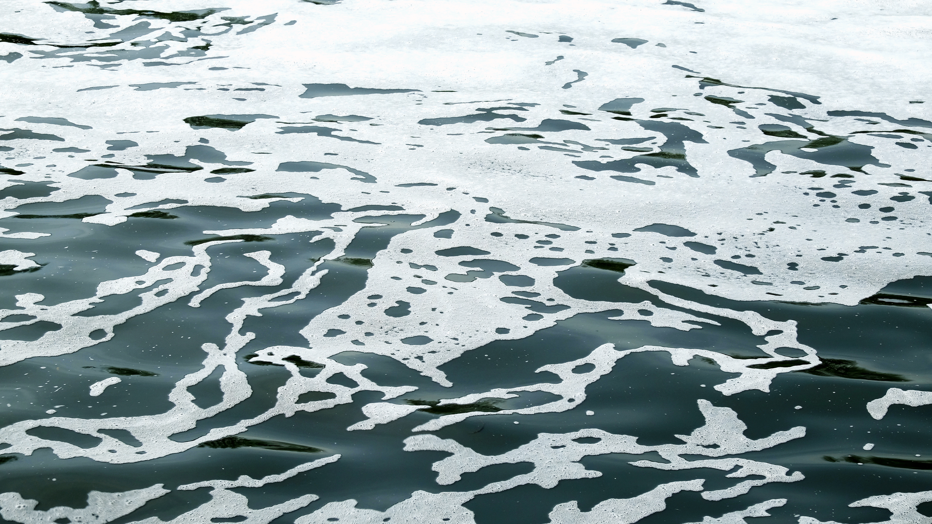 Dreamstime Xxl 77469414 62d805958bb15