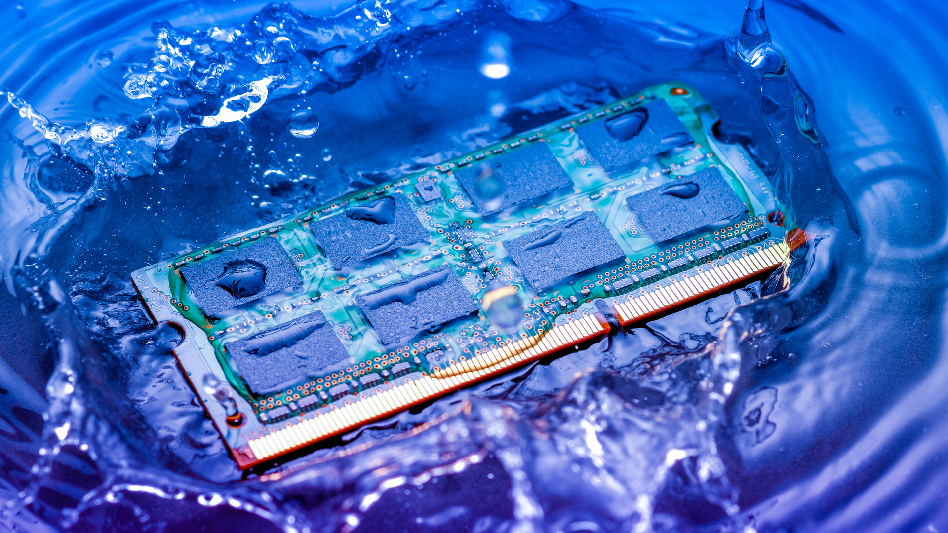 Dreamstime Xxl 110299279 62f4fbe798523