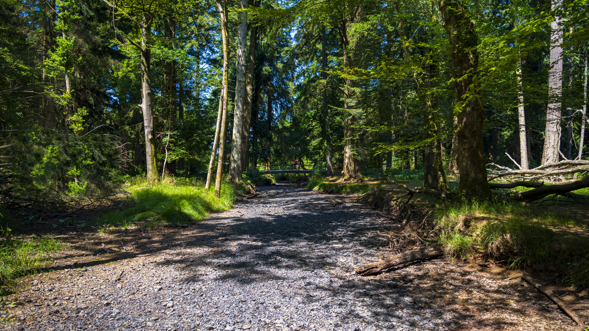 Dreamstime Xxl 120927975 62fa73e2b81ef