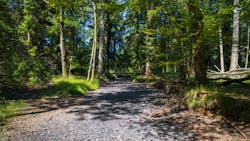 Dreamstime Xxl 120927975 62fa73e2b81ef Dreamstime Xxl 120927975 62fa73e2b81ef