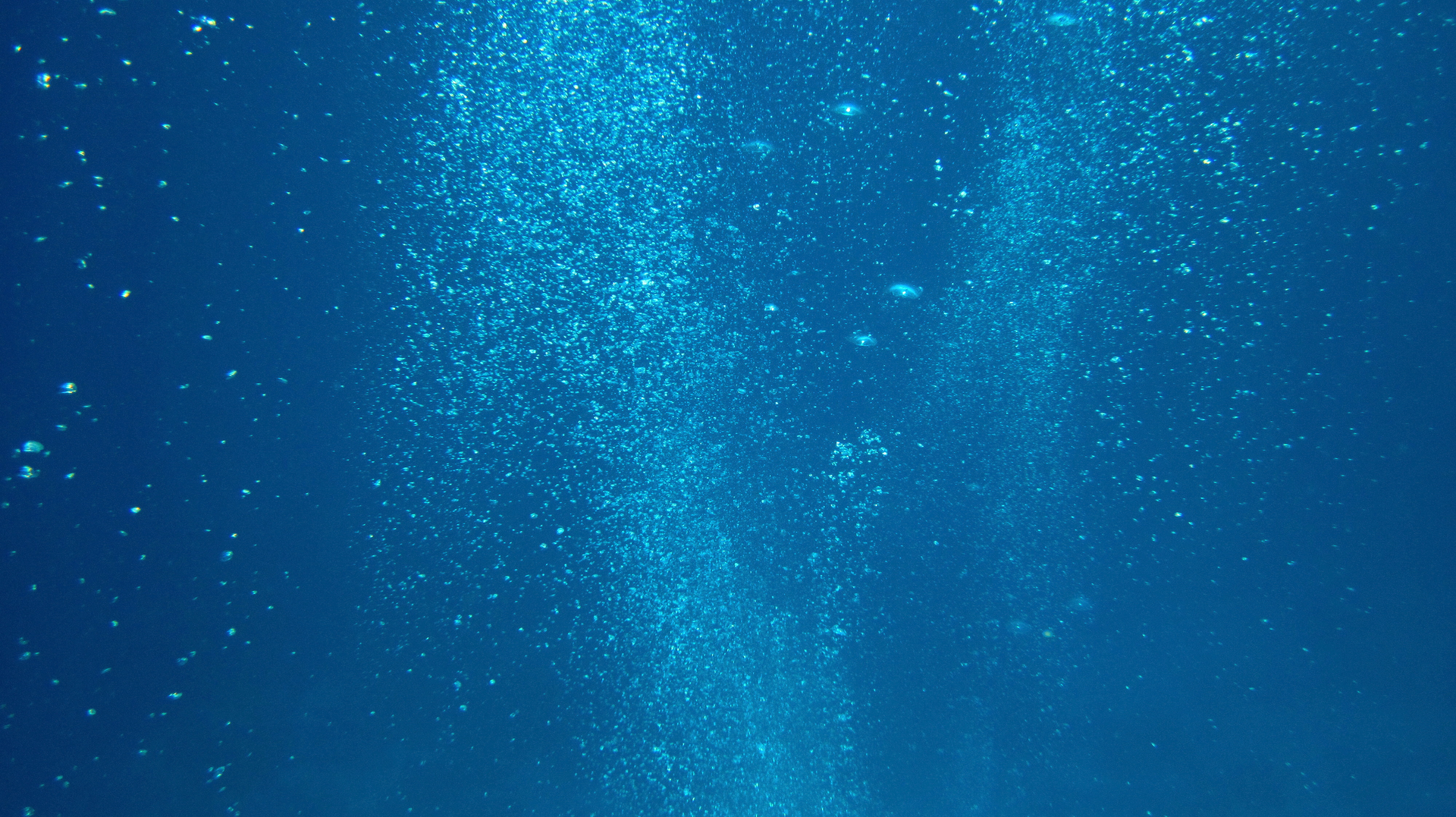 Dreamstime Xxl 123315927 62fe2f422c42b