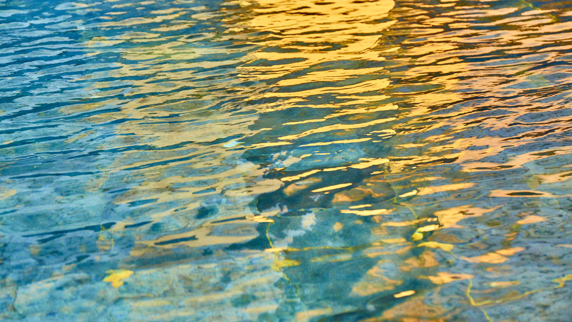 Dreamstime Xxl 134212261 62f2688d8915c