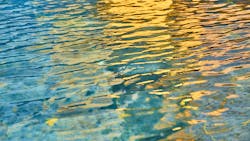 Dreamstime Xxl 134212261 62f2688d8915c Dreamstime Xxl 134212261 62f2688d8915c