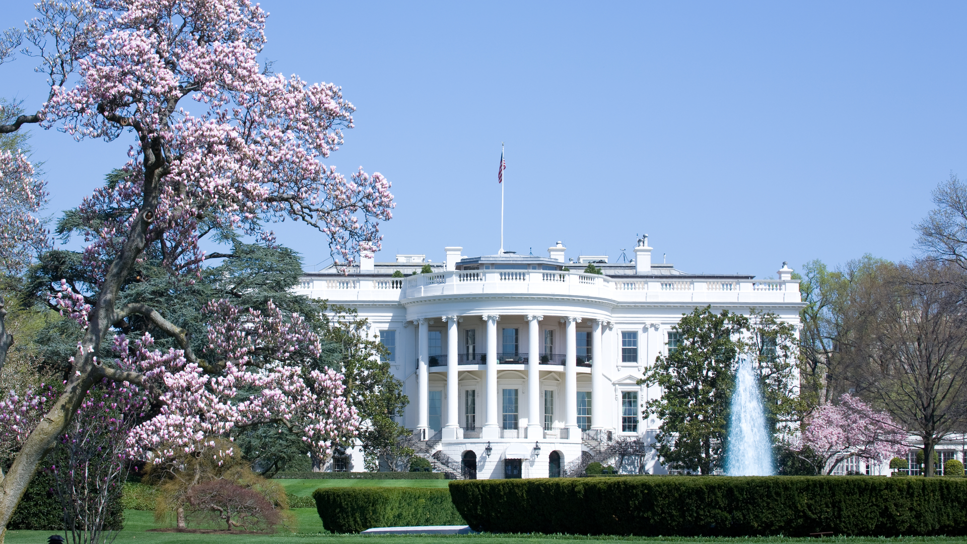 Dreamstime Xxl 13650075 62fbc3f6401c6