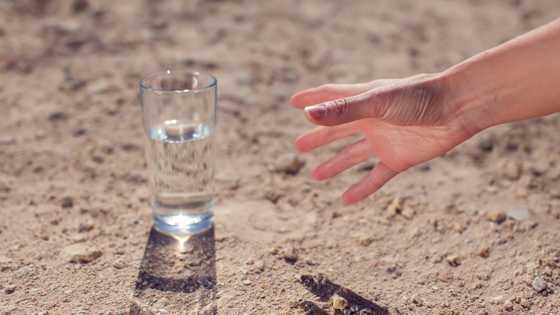 Dreamstime Xxl 153547797 62fa546d20ec6