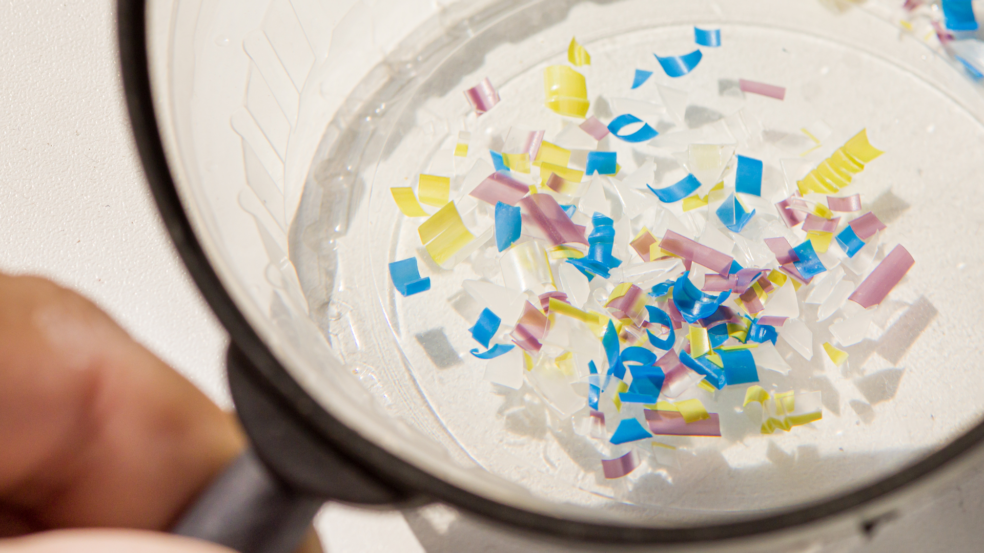 Dreamstime Xxl 191971452 62fa4be9bc3da