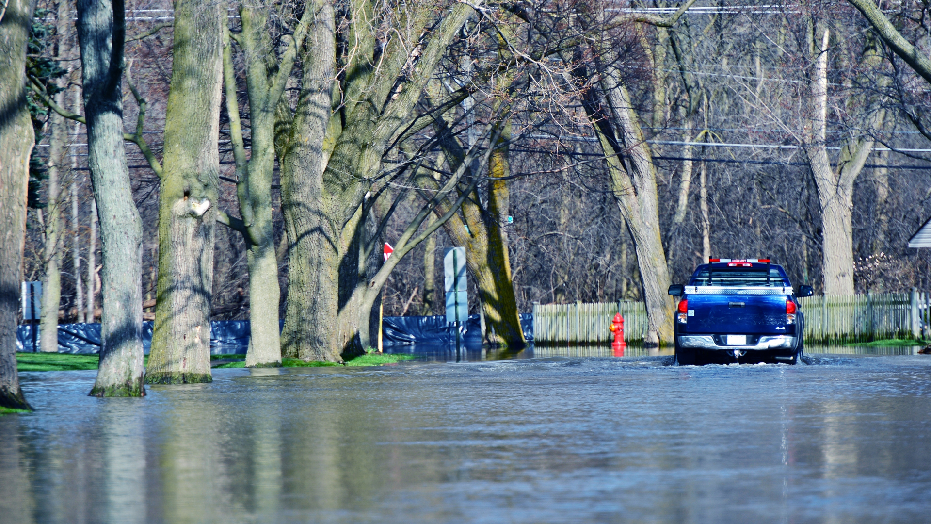 Dreamstime Xxl 31978794