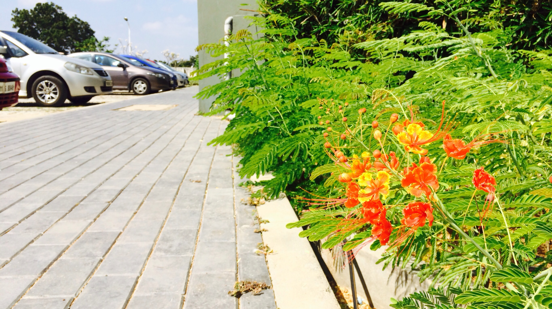 Dreamstime Xxl 37110149