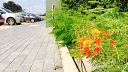 Dreamstime Xxl 37110149 6308d0d0016da Dreamstime Xxl 37110149 6308d0d0016da