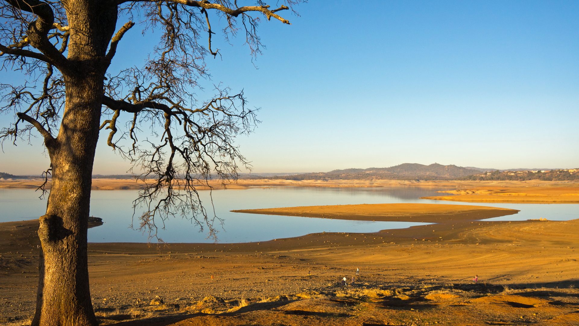 Dreamstime Xxl 97921041 62ea72f11d75b