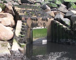 Sand and silt blockages can be a serious problem for surface water outfalls, which need a valve that can prevent tidal backflow from entering the drainage system. Sand and silt blockages can be a serious problem for surface water outfalls, which need a valve that can prevent tidal backflow from entering the drainage system.
