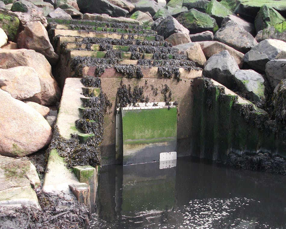Sand and silt blockages can be a serious problem for surface water outfalls, which need a valve that can prevent tidal backflow from entering the drainage system.