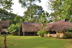 Image of housing in Tsáchila community. Image of housing in Tsáchila community.