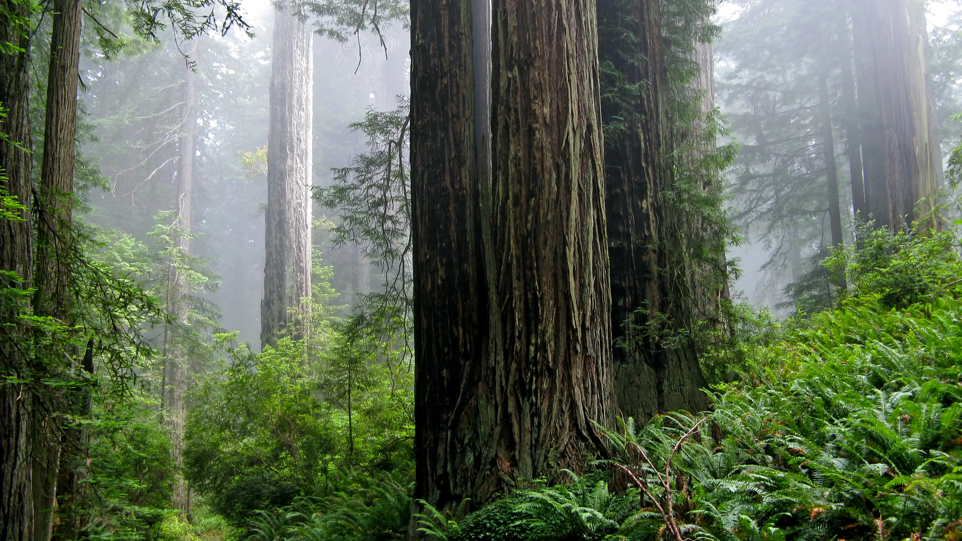 Dreamstime Xxl 11436768 632c7e2cc5326