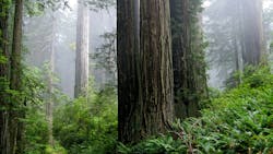 Dreamstime Xxl 11436768 632c7e2cc5326 Dreamstime Xxl 11436768 632c7e2cc5326