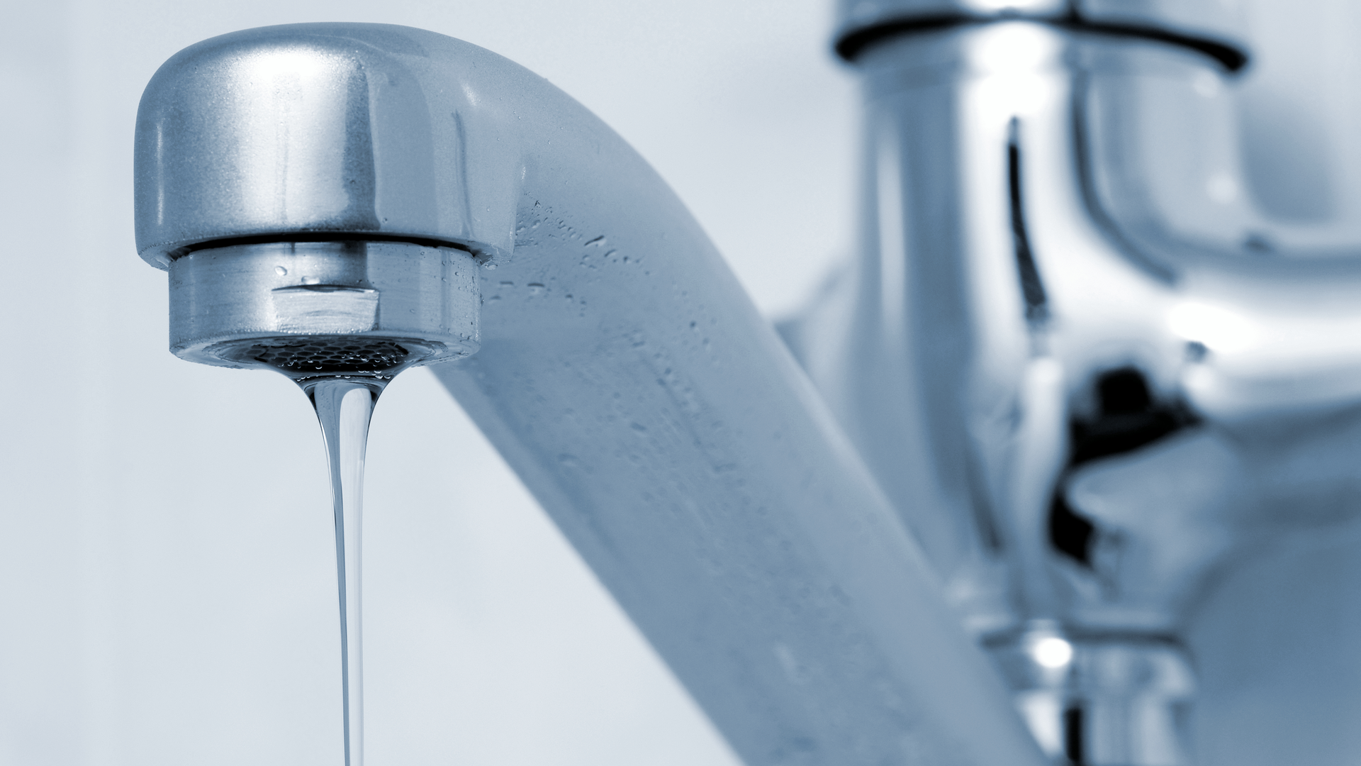 Dreamstime Xxl 19866348 631f55415048d