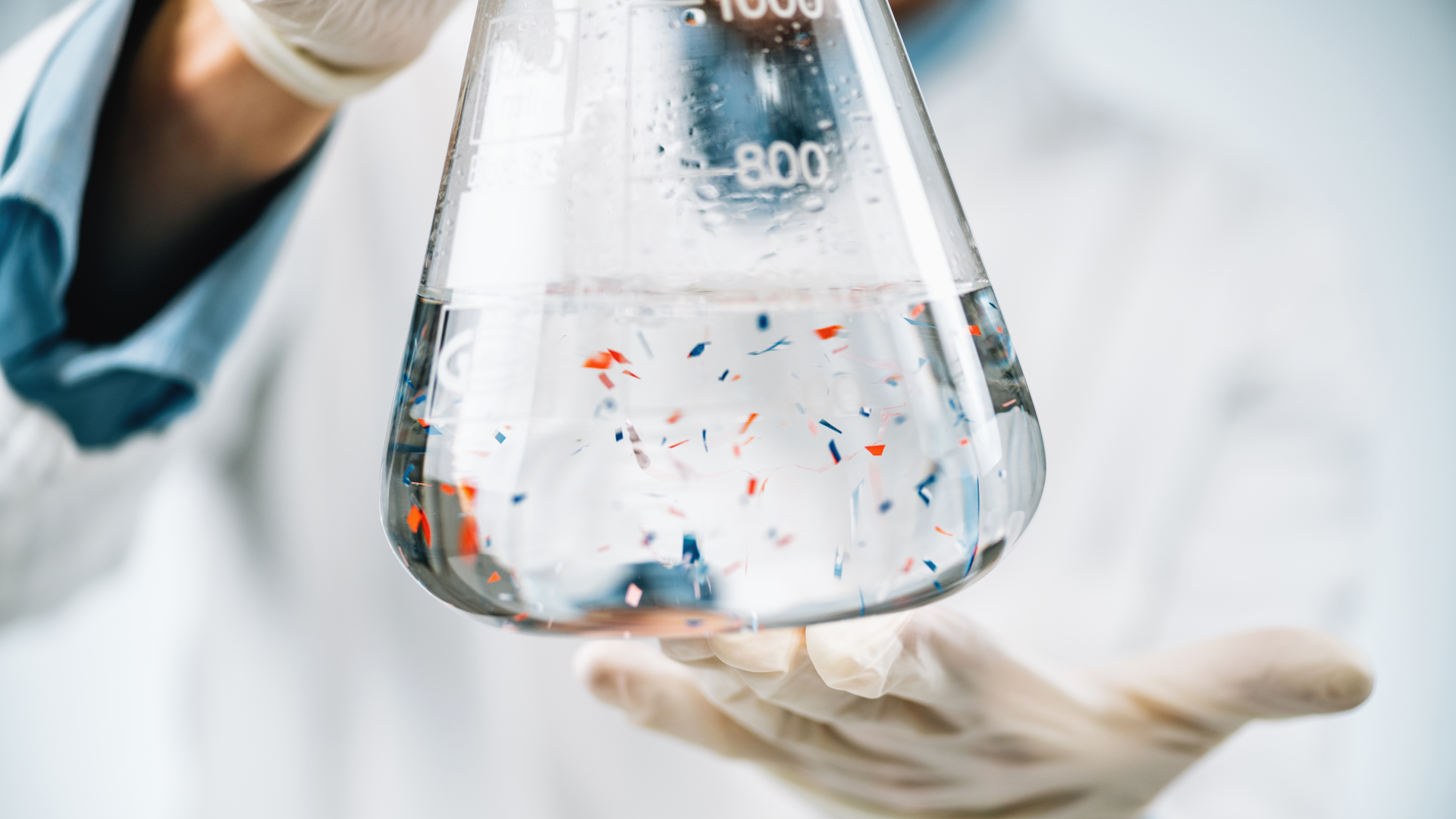 Dreamstime Xxl 211899048 631a23441e2e0