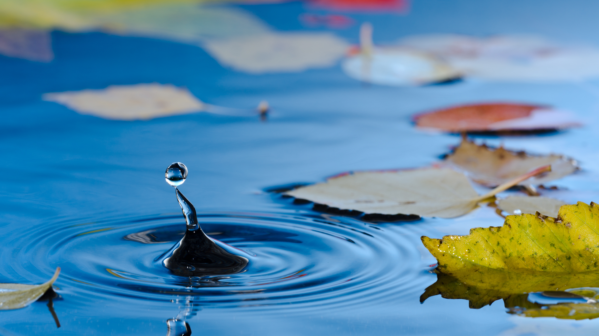 Dreamstime Xxl 26677394 63120e029fc8b