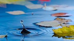 Dreamstime Xxl 26677394 63120e029fc8b Dreamstime Xxl 26677394 63120e029fc8b