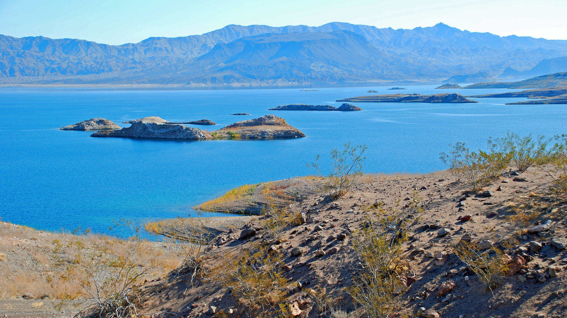 Dreamstime Xxl 41133760 6331cdfe24afc