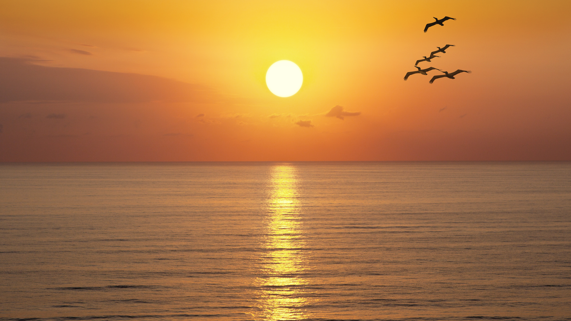 Dreamstime Xxl 71779192 6328a0f560d3d