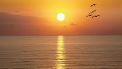 Dreamstime Xxl 71779192 6328a0f560d3d Dreamstime Xxl 71779192 6328a0f560d3d